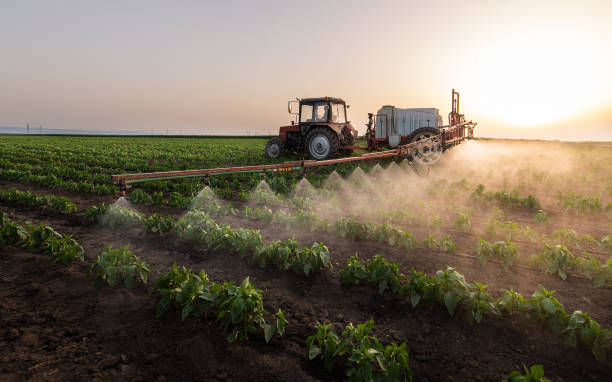 Best Commercial Pest Control Services  in Hallsville, TX