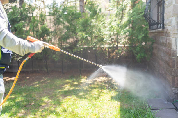 Best Best Pest Control Near Me  in Hallsville, TX